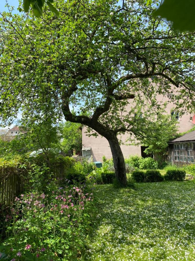 Am Schloss Hébergement de vacances